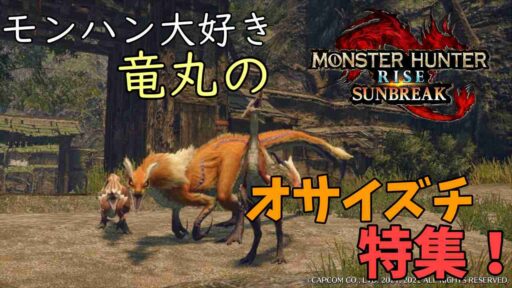 オサイズチ特集！