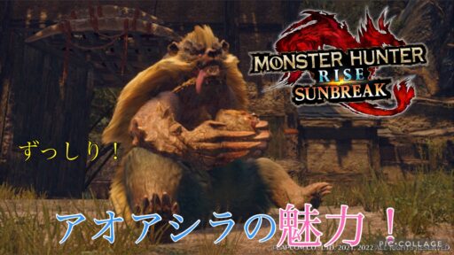 ずっしりクマさん！アオアシラの魅力！