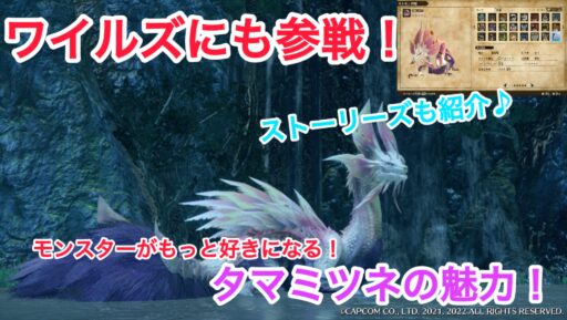 モンハンワイルズにも登場！美しく舞う泡狐！タマミツネの魅力！